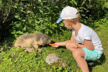 Familienurlaub Filzmoos - Gästehaus Herrmann Familienurlaub Filzmoos - Gästehaus Herrmann