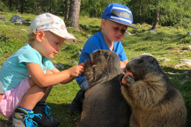 Familienurlaub Filzmoos - Gästehaus Herrmann