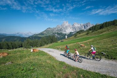 Mountainbiken im Sommerurlaub in Filzmoos