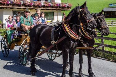 Pferdeschlittenfahrten im Sommerurlaub in Filzmoos, Salzburg