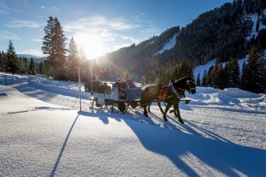 Pferdeschlittenfahrten - Winterurlaub in Filzmoos