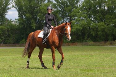 Reiten im Sommerurlaub in Filzmoos