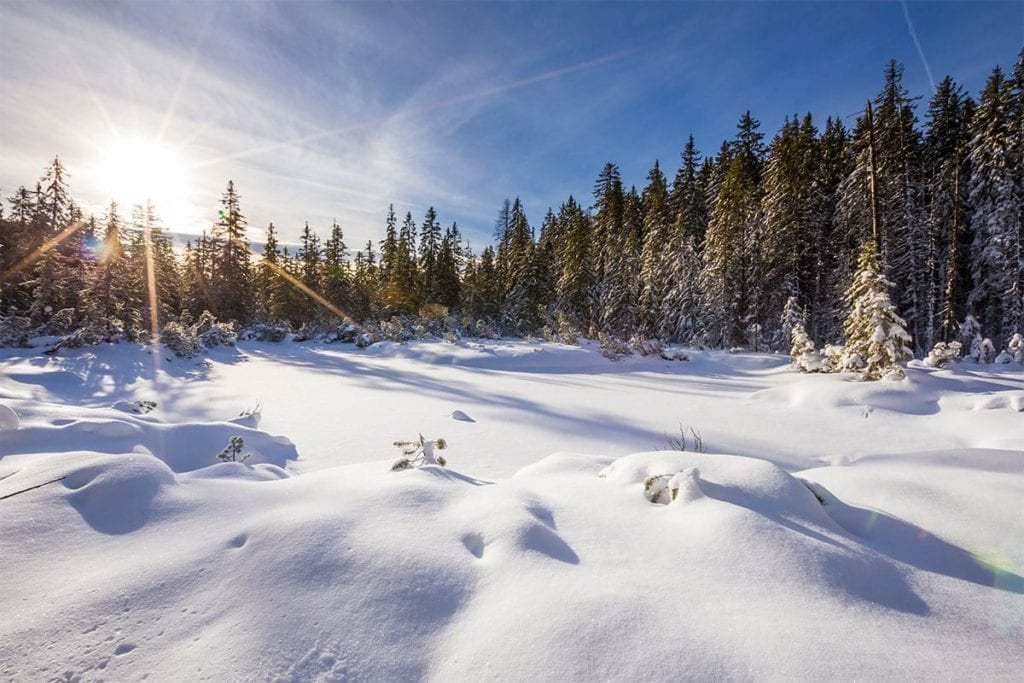 Winterurlaub in Filzmoos, Salzburg